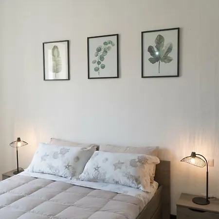 Clara * Αλγκέρο